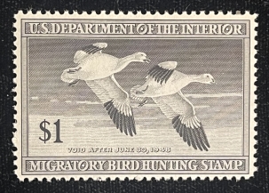 U.S. Stamps SCOTT #RW-14 $1 BLACK FEDERAL DUCK STAMP, MOG-NH, MINOR GUM BENDS, CATALOG $55