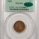 Indian 1901 INDIAN CENT – PCGS MS-64 RB, PREMIUM QUALITY!