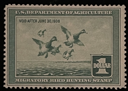 U.S. Stamps SCOTT #RW-4, $1, LIGHT GREEN, UNUSED, NO GUM, VF CENTERING – CATALOG VALUE $85