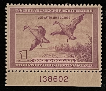 U.S. Stamps SCOTT #RW-5, PLATE # SINGLE, MOG-NH, NATURAL GUM BENDS – CATALOG VALUE $425
