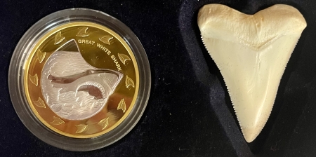 New Store Items 2005 COOK ISLANDS, GREAT WHITE SHARK 1.5 OZS 999 GOLD/SILVER COIN/TOOTH-BOX/COA